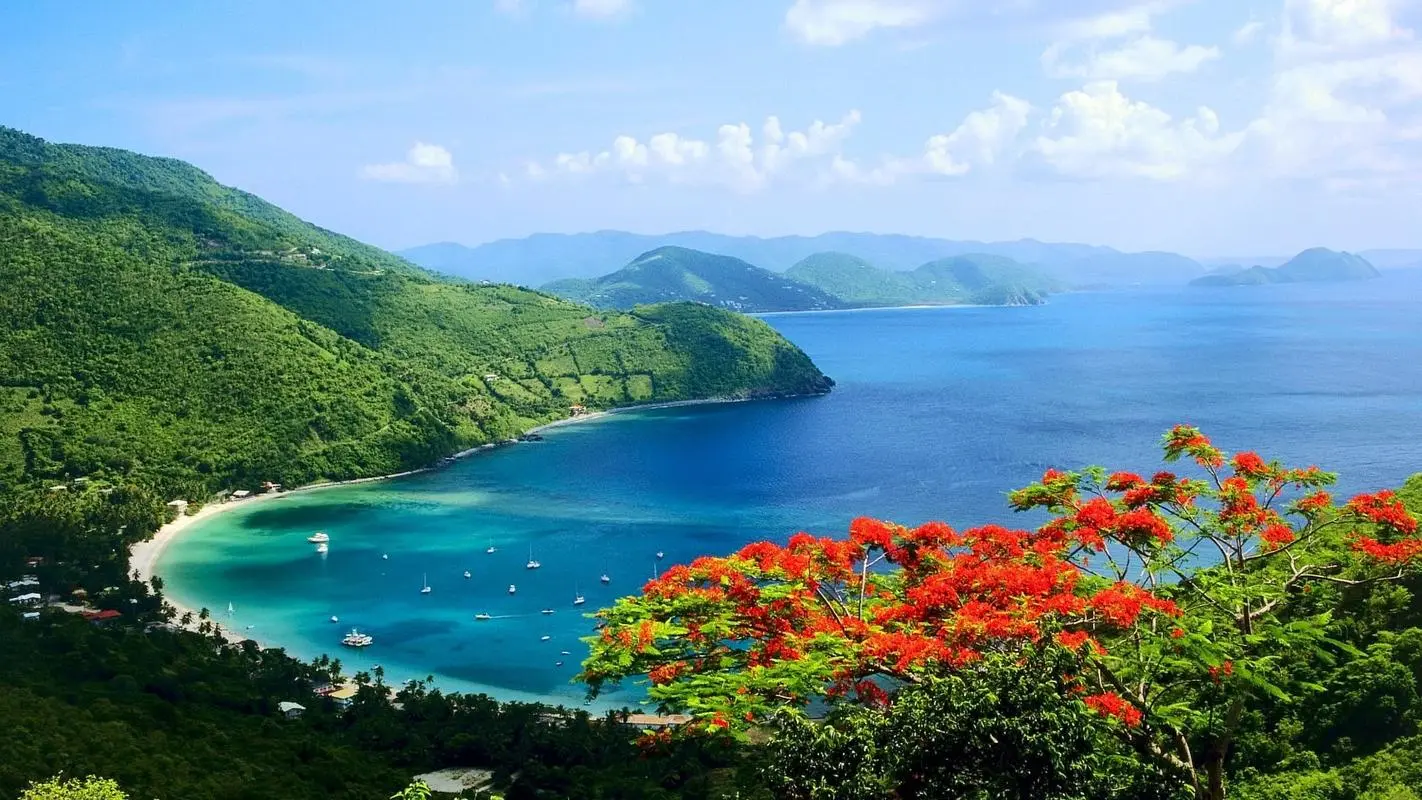 高精度自动化